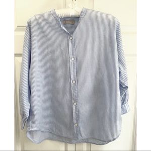 Everlane Blue Pinstripe Button Down Shirt